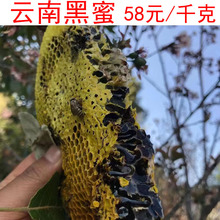 云南黑蜂蜜黑蜜米团花蜜野生蜂蜜