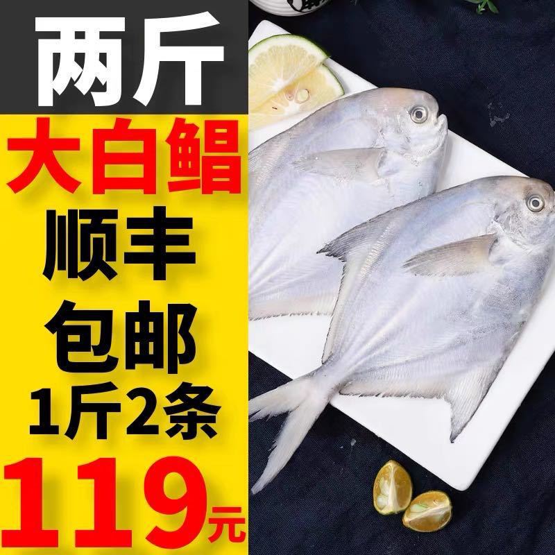 2斤野生超大巨大银鲳鱼新鲜鲜活冷冻深海白鲳鱼平鱼扁鱼海鲜水产
