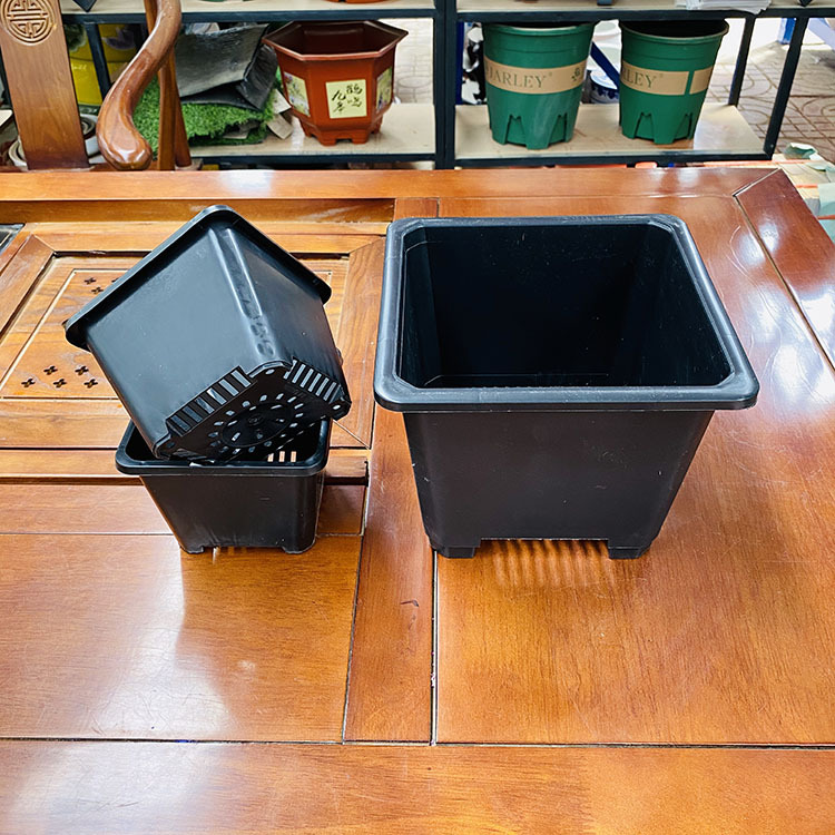 多肉黑方韩盆 翻边黑方盆 黑色方加仑盆园艺多肉盆基地多肉盆