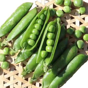 云之萌萌果云南新鲜蔬菜高原露天大颗粒豌豆5斤新鲜豌豆荚带壳豌