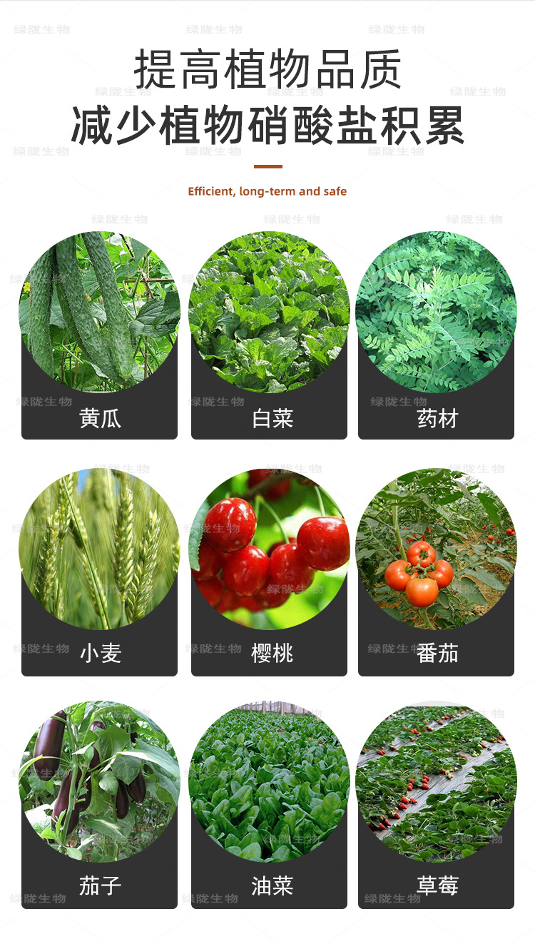 枯草芽孢杆菌绿陇生物微生物菌剂菌肥益生菌肥料有机肥1000克