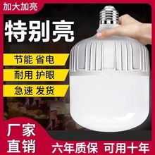 【一件代发】LED家用护眼球泡灯