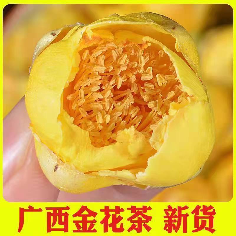 金花广西金花茶批发特级金茶花茶野生广西特产特级广西防城金花