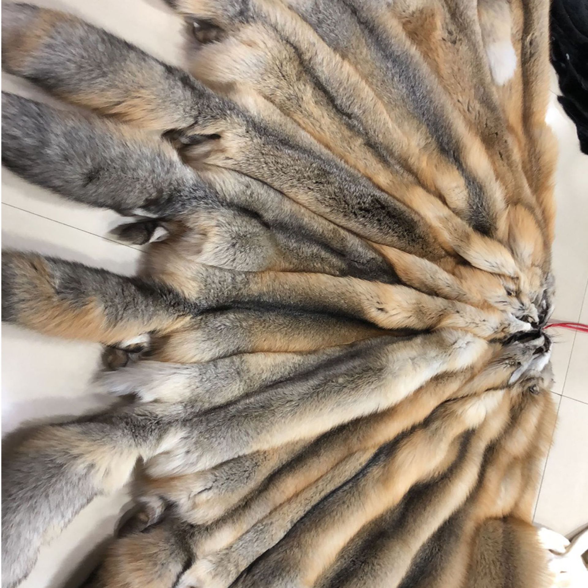 30#金岛狐大个好毛质本色狐狸皮定制帽领帽子条派克服毛领子批发