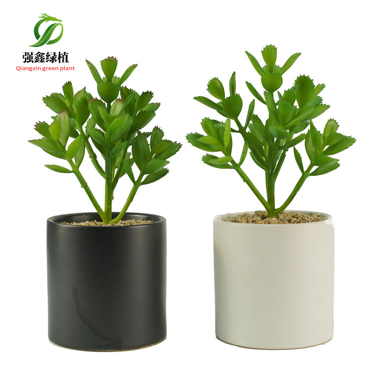 仿真树枝绿植把束绿叶珊瑚叶多肉盆景摆件拍摄道具花艺展示盆栽