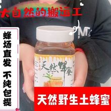 包邮野生蜂蜜天然百花蜜100枣花蜜深山桂花蜜农家自产自销真