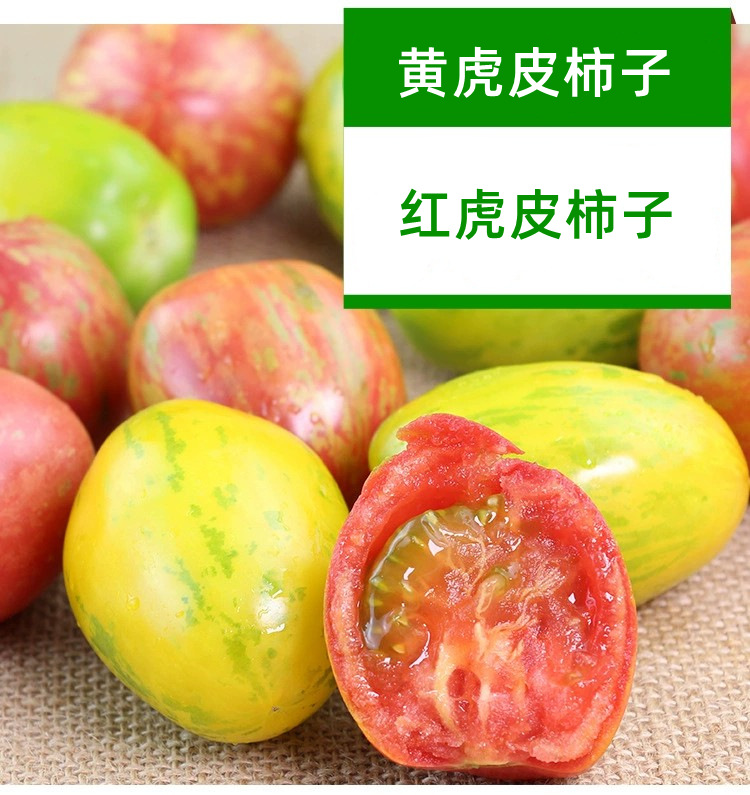 东北4斤红黄虎皮柿子花皮球黄柿子番茄新鲜蔬菜西红柿