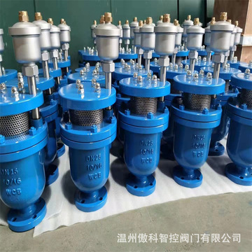 复合高速排气阀 fgp4x 高速排气阀 fgp4x-25c 复合排气阀 dn150