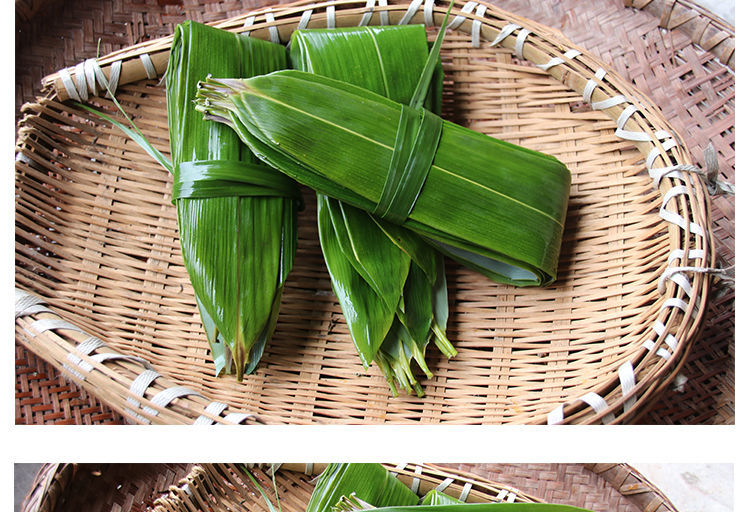 100片粽子叶新鲜粽叶真空竹叶天然野生大粽叶 包粽叶子干粽叶箬叶