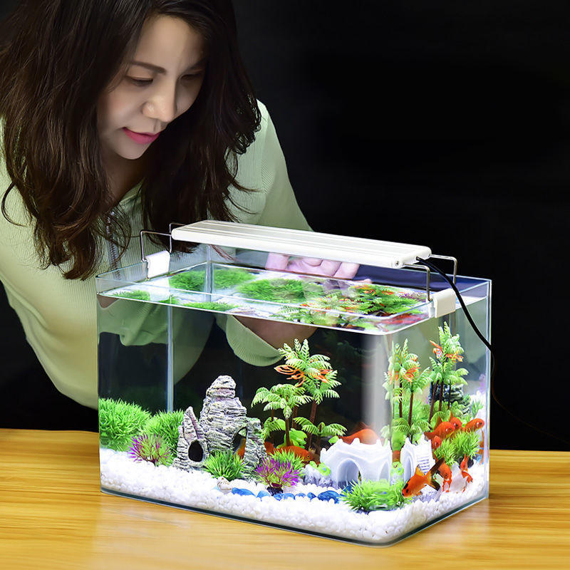 桌面鱼缸造景小型网红迷你客厅家用金鱼缸生态创意懒人玻璃水族箱