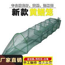 1米3黄鳝笼加厚方格网鳝鱼泥鳅龙虾地网笼小虾笼捕鳝笼长鱼笼