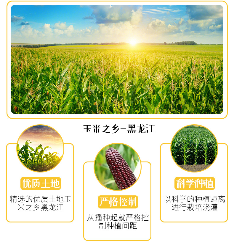 玉米详情页(盒装)_03.jpg