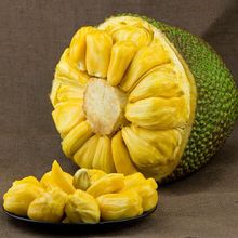 菠萝蜜现摘发货海南黄肉新鲜水果木菠萝一整个速卖通混批工厂代发