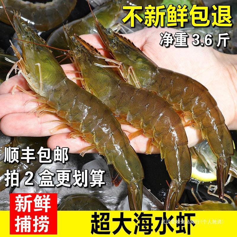 新鲜海捕大虾海虾特大对虾鲜活冷冻基围虾明虾非青岛大虾水产