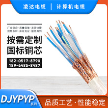 供应DJYPVP 各型号计算机屏蔽电缆仪表控制电缆阻燃信号线缆
