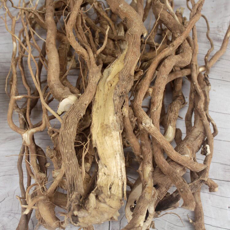 黄花倒水莲月子茶黄花大远志参倒吊黄根观音串可切片