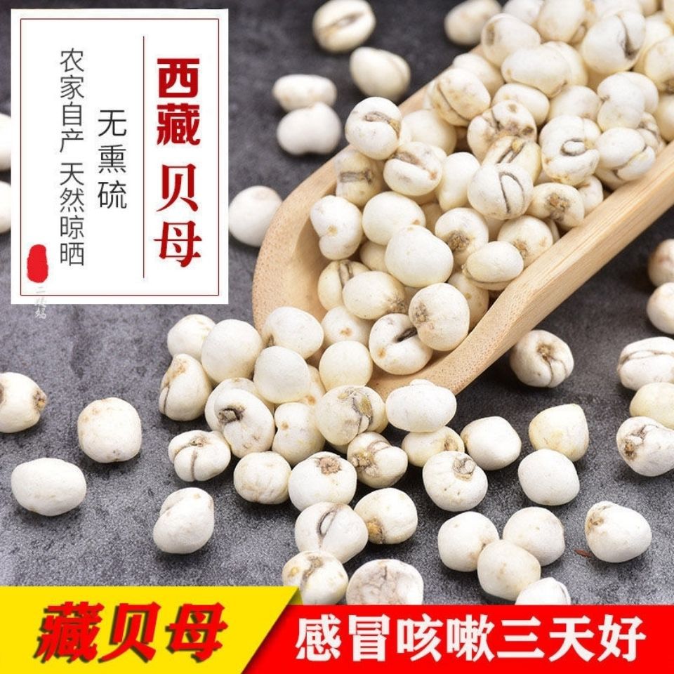 西藏那区藏贝母藏尖贝大颗粒味苦非川平贝母5g/500g-阿里巴巴