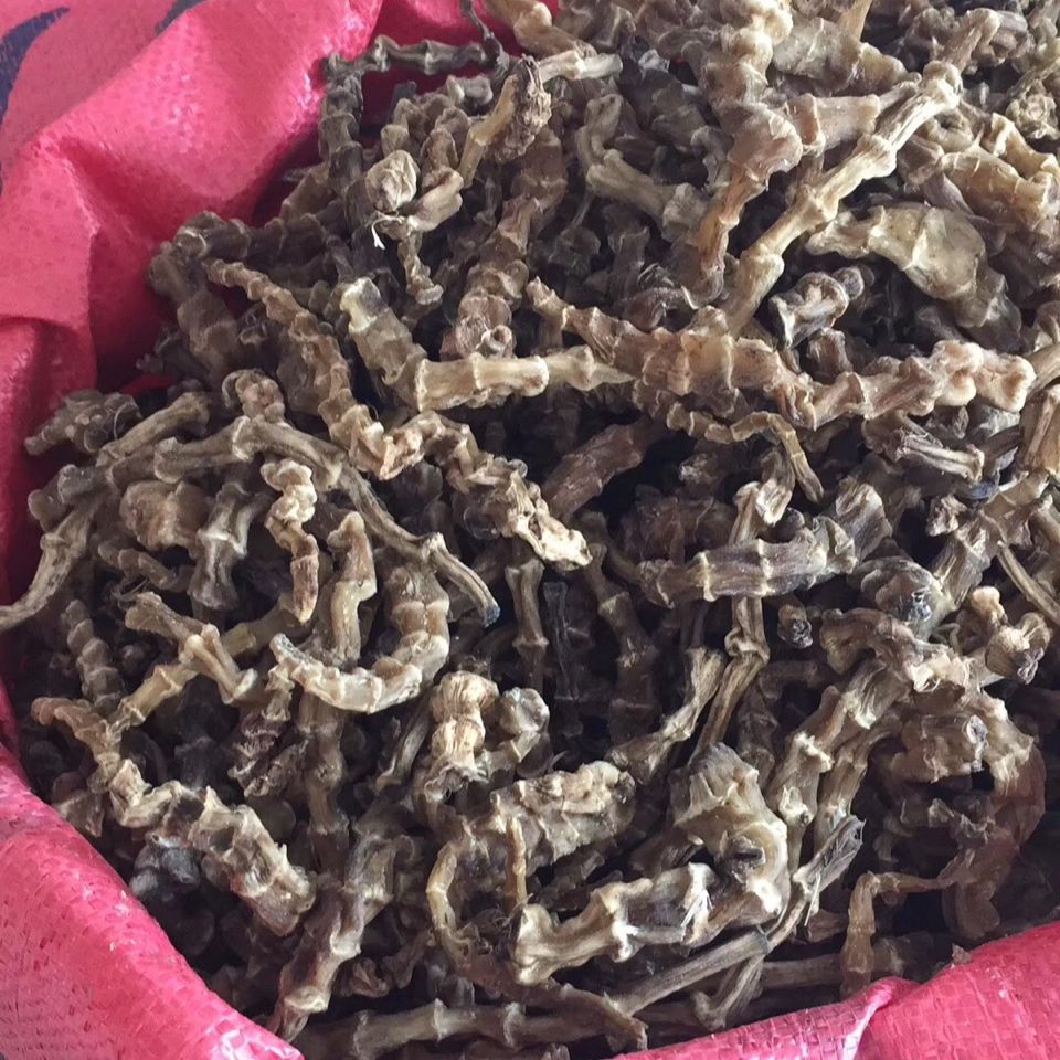 云南特产 地参 虫草参 泽兰根 地龙菜 500克包邮 250克干货