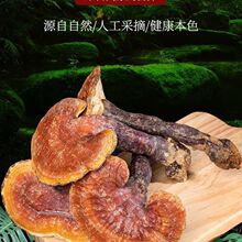 云南哀牢山野生赤灵芝400g哀牢山野生红灵芝5-9公分可切片块_阿里巴巴