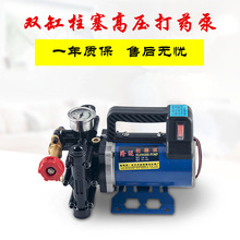 |手提式打药机农用电动果树喷雾器12V48V60V220伏高压双缸柱塞药