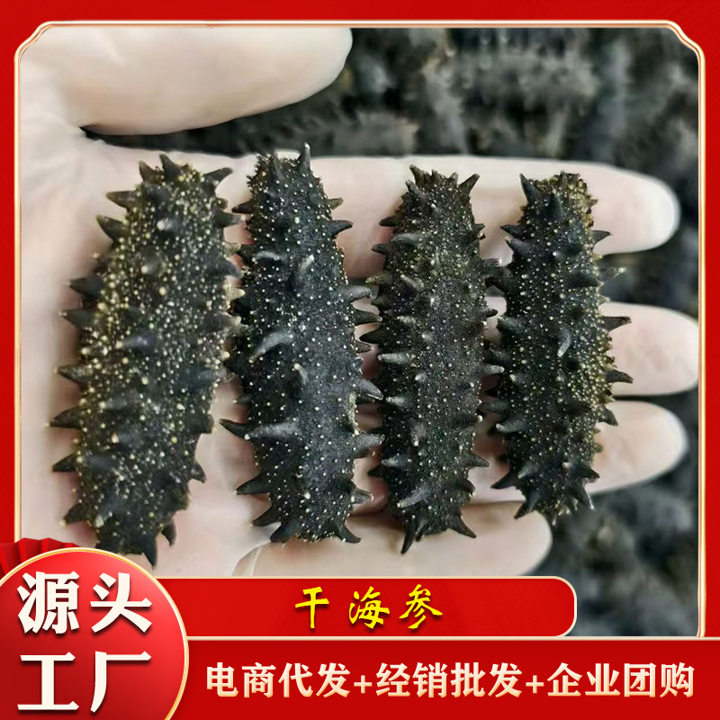 源头厂家批发淡干海参鲜食刺参辽参高刺参肉质饱满淡干海参干货