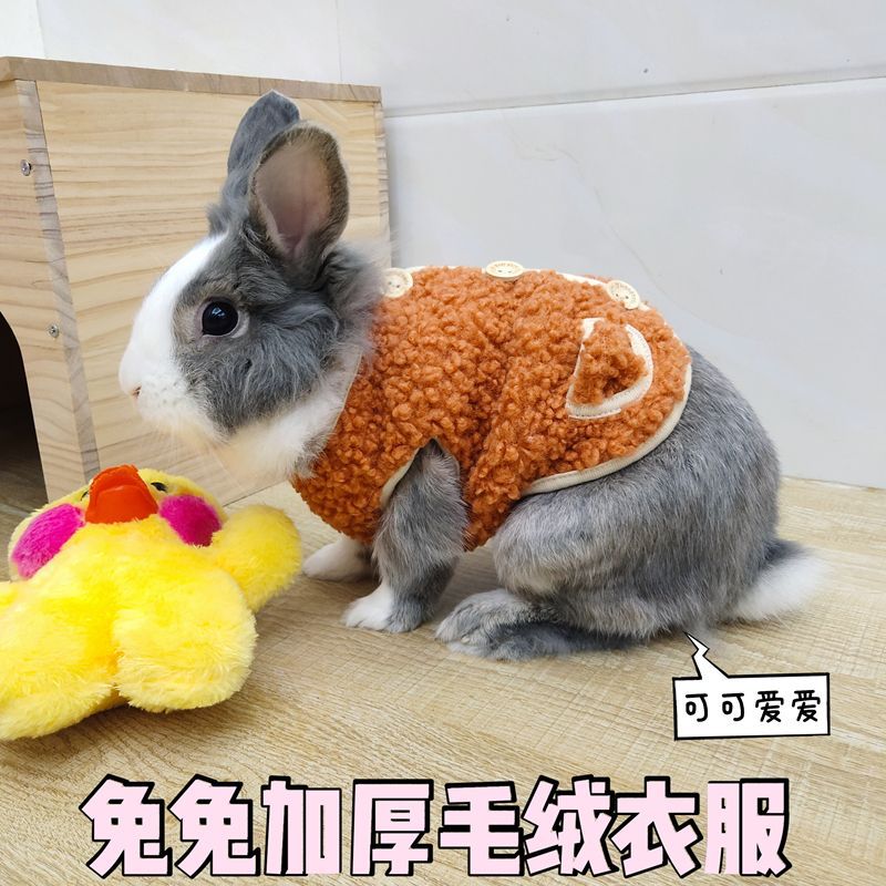 宠物兔衣服兔子保暖马甲垂耳兔服饰过冬衣服道奇兔御寒可爱小背心