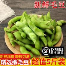 苏北农家新鲜毛豆带壳嫩毛豆角现摘青大豆荚当季蔬菜5斤现摘现发