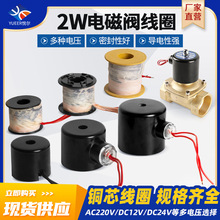 电磁阀配件铜线AC220VDC24V 2W160-15水阀气阀天然气防爆防水线圈