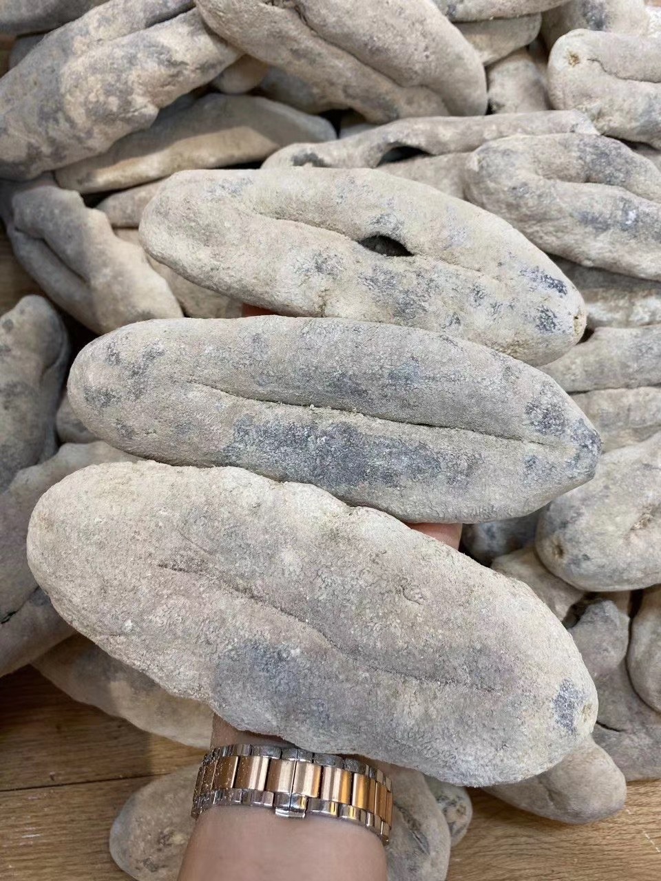 澳洲黑石参猪婆参黑猪婆参白猪婆参