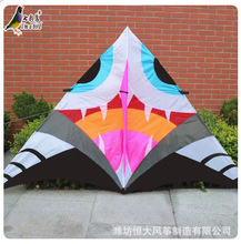 潍坊风筝 2.8米三角风筝 大尺寸鲨鱼风筝 组装简单好飞