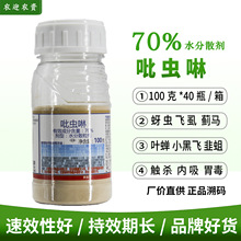 吡虫啉70% 蚜虫 飞虱 蓟马 小黑飞 韭蛆 高效 杀虫剂 100克