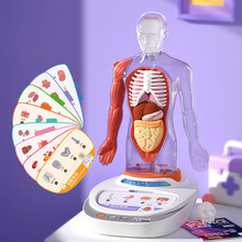 科学罐头人体解剖模型器官可拆卸我们的身体百科儿童语音教学玩具