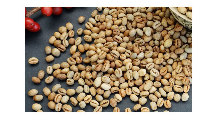 厌氧日晒小圆豆 黑珍珠阿拉比卡生豆 云南咖啡豆庄园酒香处理豆