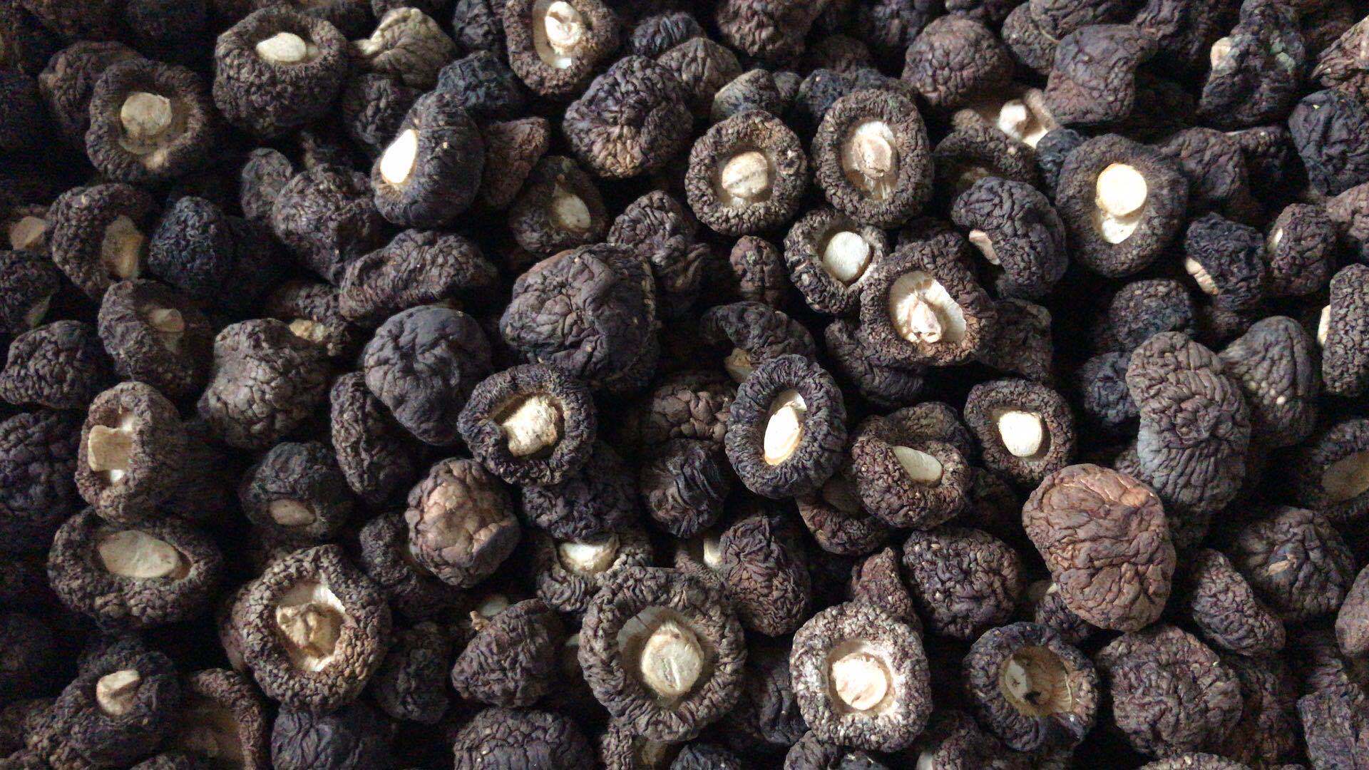 漳平黑珍珠香菇干货批发500g1.5-2cm香菇厚菇冬菇散装食用菌干货