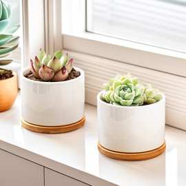 TEMU多肉花盆陶瓷跨境亚马逊园艺简约白瓷透气花盆批发印logo