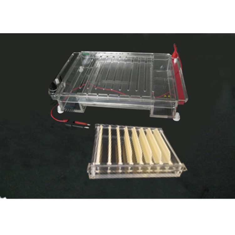 lf-31e中型水平电泳槽 高校企业dna电泳仪