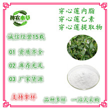 穿心莲内脂98%穿心莲乙素雄茸内酯水溶性二萜内酯类穿心莲提取物