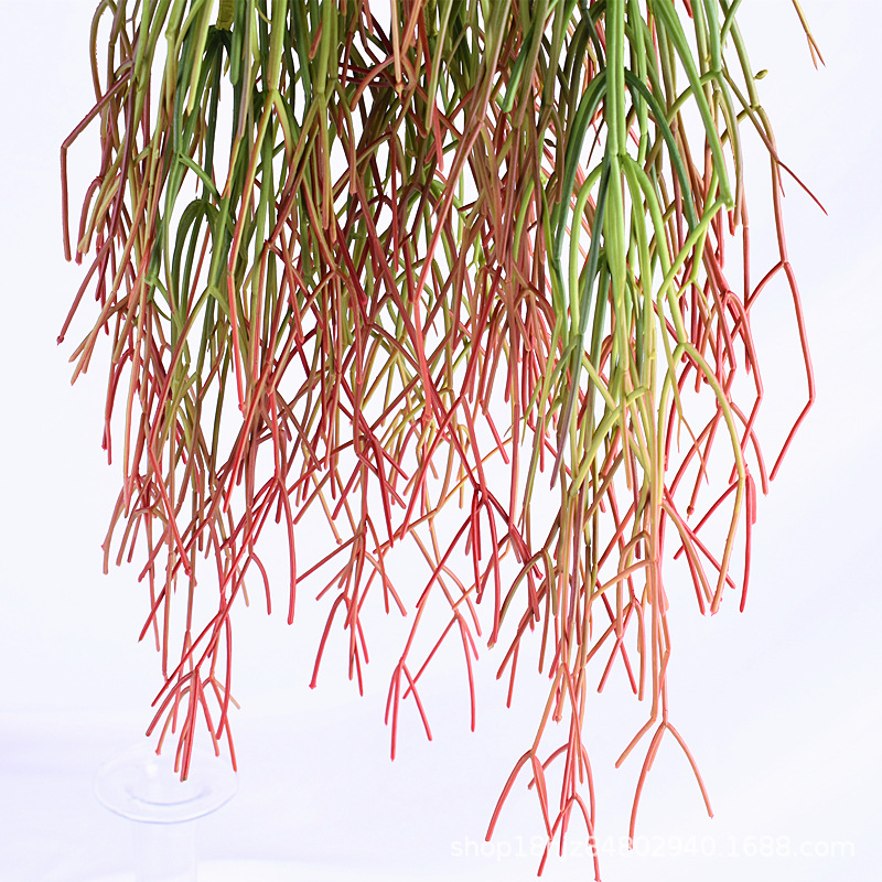 珊瑚枝节松萝铁栏垂吊植物绿植造景吊兰软装花艺设计珊瑚前面装饰