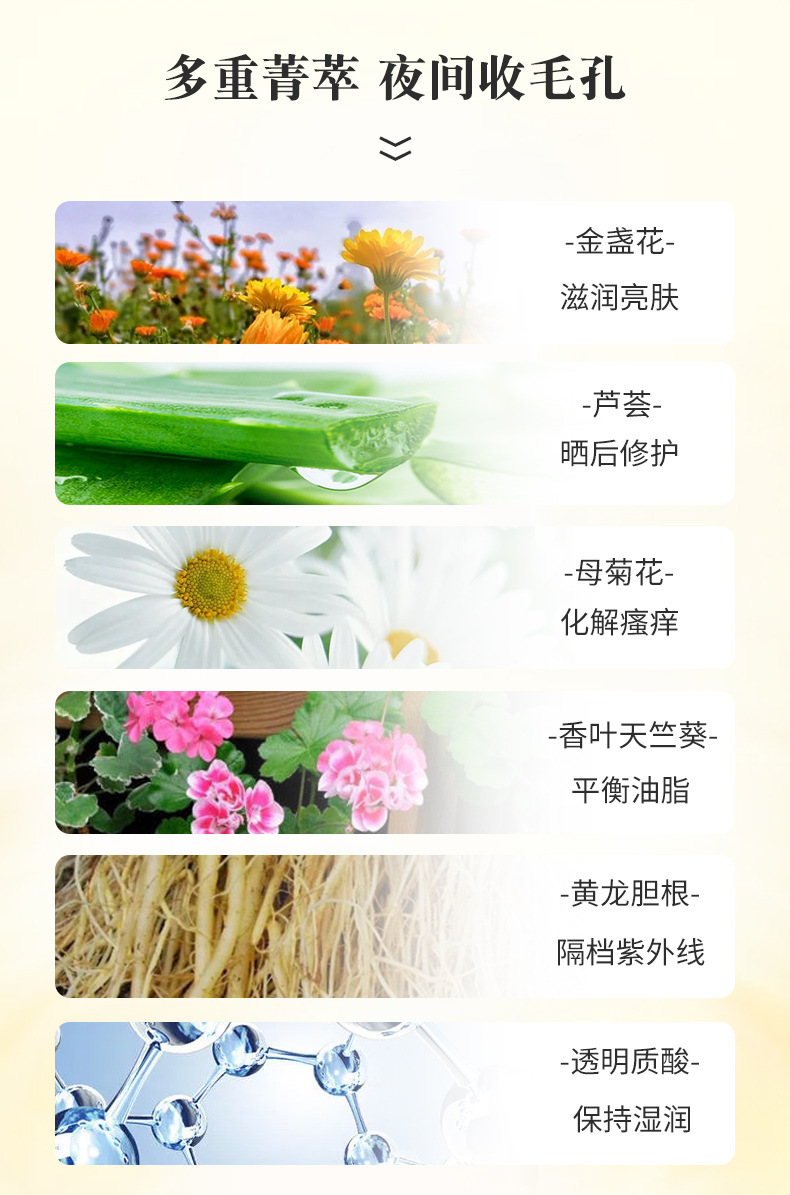 美葆莱金盏花睡眠面膜修护补水保湿涂抹式免洗花瓣面膜批发正品