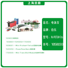 美国伯乐bio-rad 1658033小型垂直电泳仪