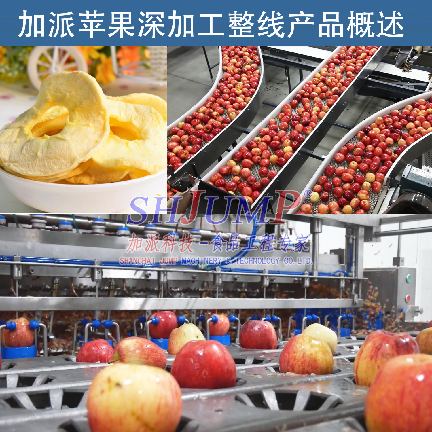 苹果破碎榨汁机 苹果脆片加工生产线商品描述视频展示规格苹果浓缩酱
