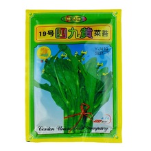 蔬菜种子批发20克菜苔种子联记19号四九黄菜苔种子