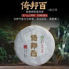 云南白茶古树老白茶月光白普洱茶饼茶倚邦寿眉月光美人头春茶200g