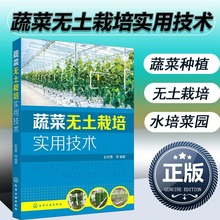 蔬菜无土栽培实用技术 彭世勇 果蔬菜类叶菜类蔬菜芽苗菜高效绿色