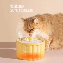 高端猫咪喝水碗加热自动活水过滤器宠物恒温猫咪饮水机陶瓷