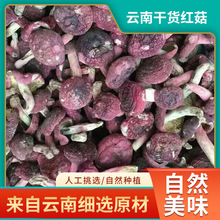 云南干货红菇 可食用农产品新鲜采摘 煲汤炒菜美味鲜香蘑菇