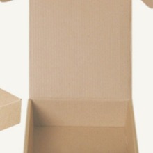 中山纸箱厂 供应加硬飞机盒 瓦楞纸箱 说明书 包装彩盒 医药纸盒