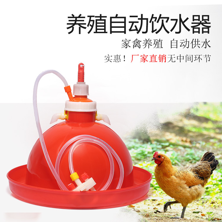 新款养鸡设备全自动饮水器鸡用喂水饮水壶鸭鹅大小鸡雏鸡饮水桶