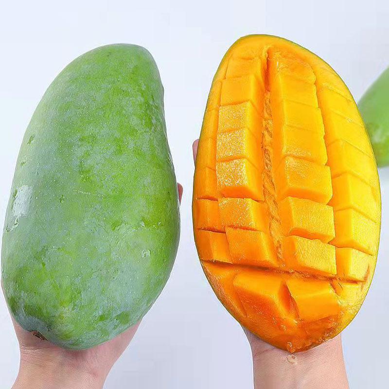 广西大青芒青皮芒果新鲜当季水果批发应季现摘热带非海南贵妃芒果