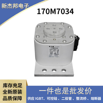 170m1319 170m1320 170m1321 170m1322 全新原厂保险丝 熔断器
